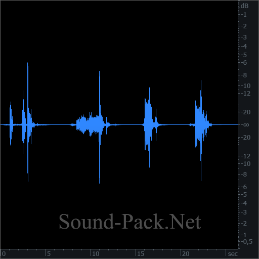 waveform