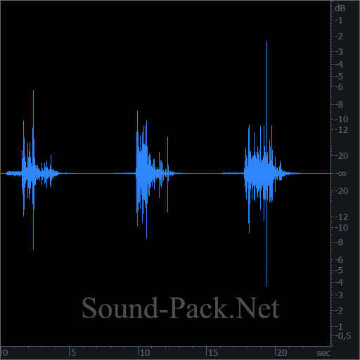 waveform