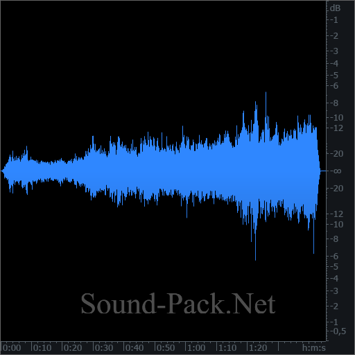 waveform