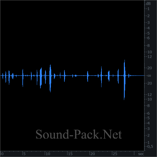 waveform