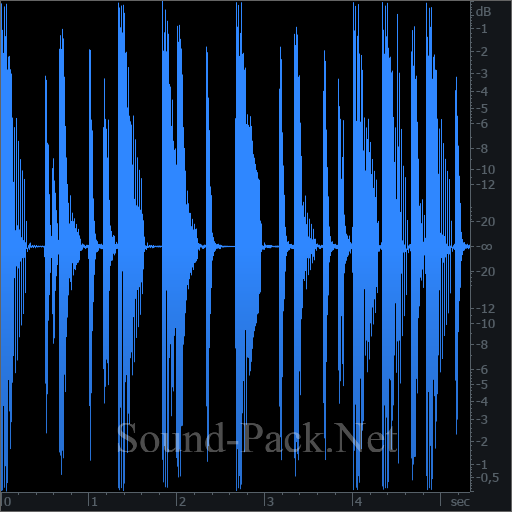 waveform