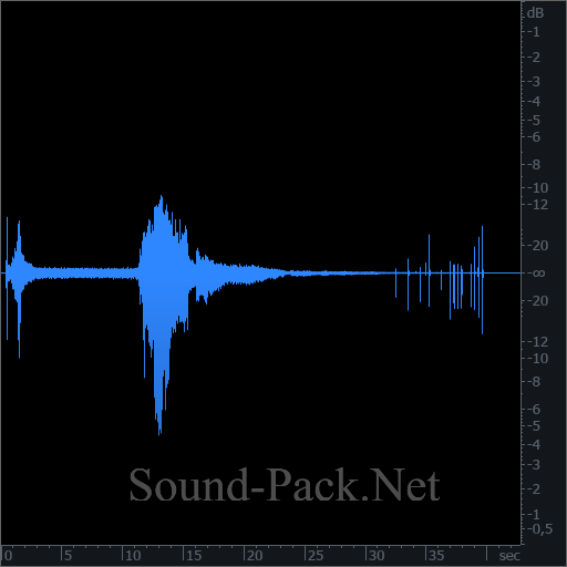 waveform