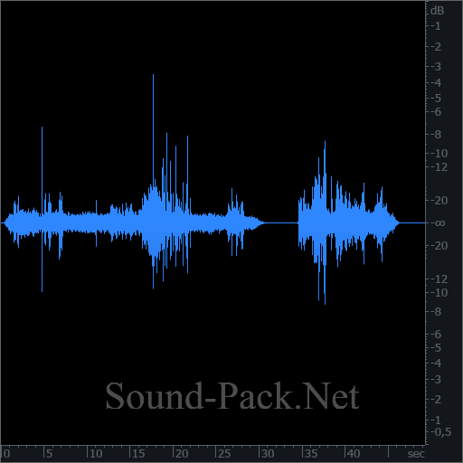 waveform