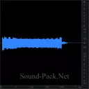 Полицейская сирена (запись из машины)