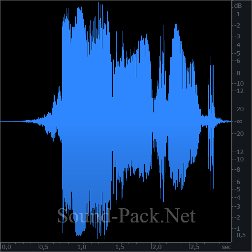 waveform