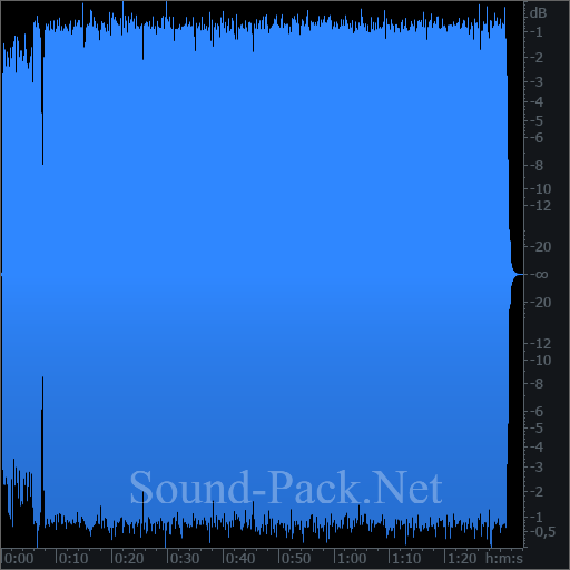 waveform