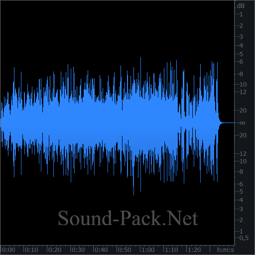 waveform