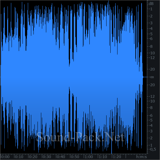 waveform