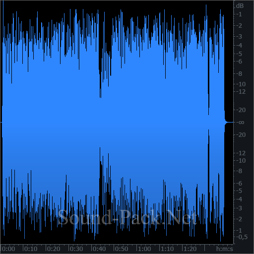 waveform