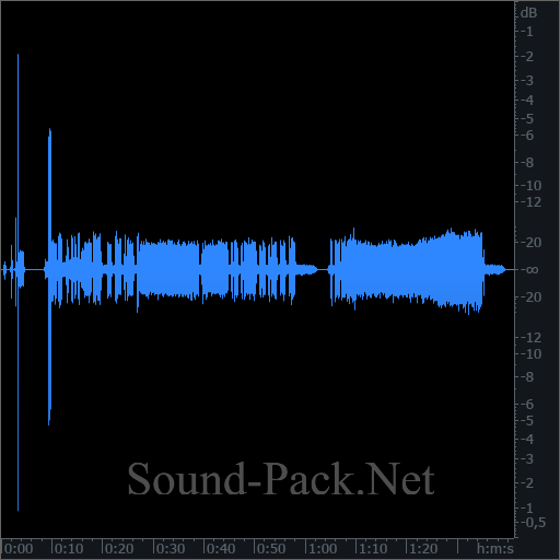 waveform