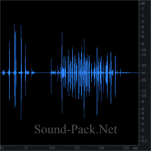 waveform