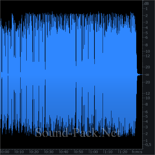 waveform