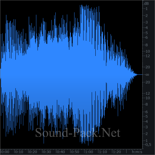 waveform