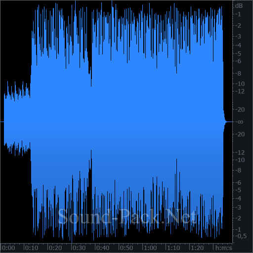 waveform