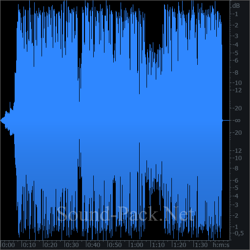 waveform