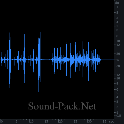 waveform