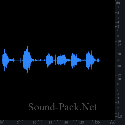 waveform