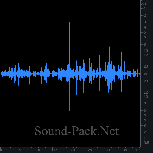 waveform