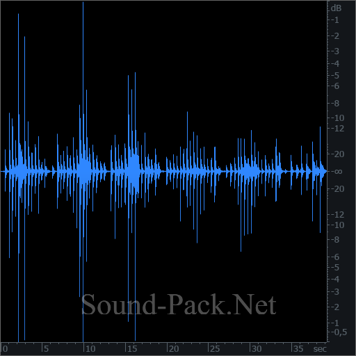 waveform