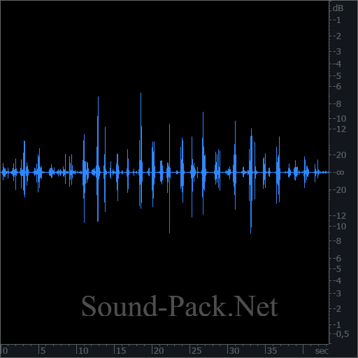 waveform