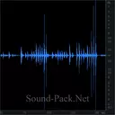 Шаги по квартире в обуви