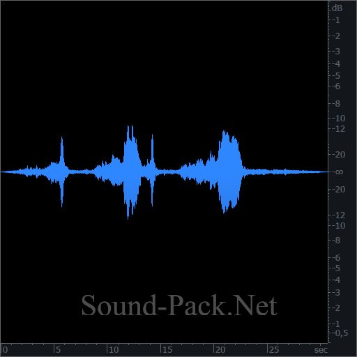 waveform