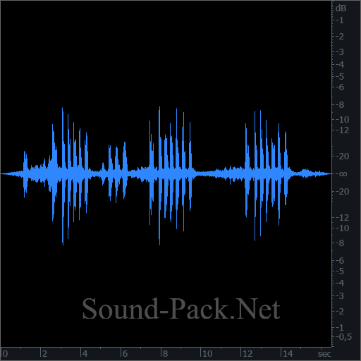 waveform