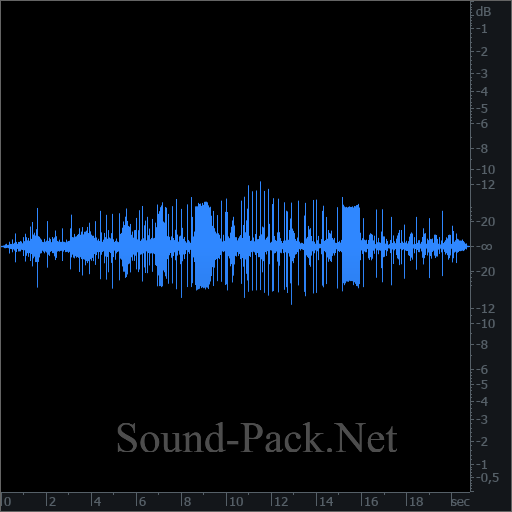 waveform