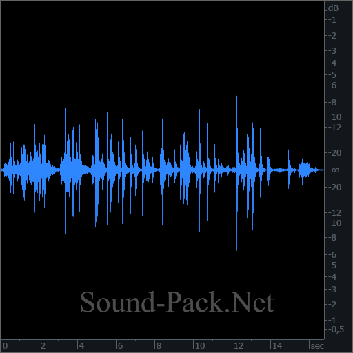 waveform