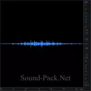 Большой зал, короткие аплодисменты (40 человек)