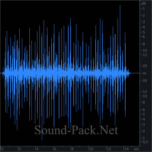 waveform