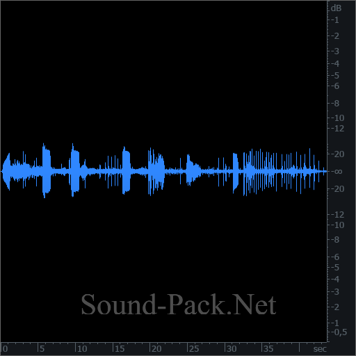 waveform