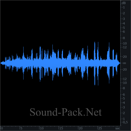 waveform