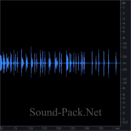 waveform