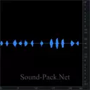 Кошка недовольно мяукает