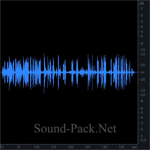 waveform