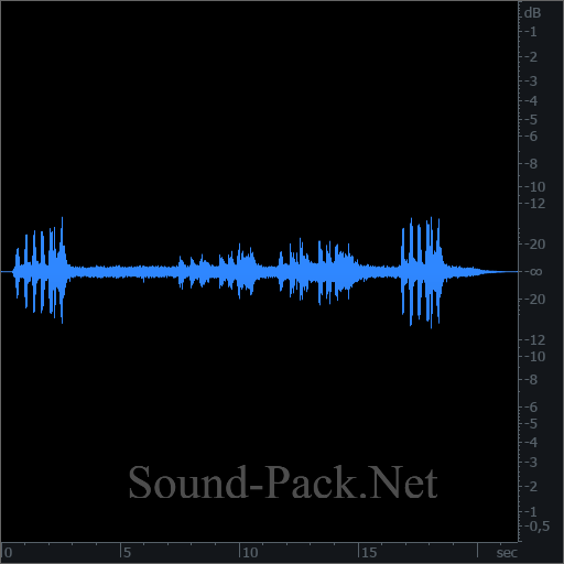 waveform