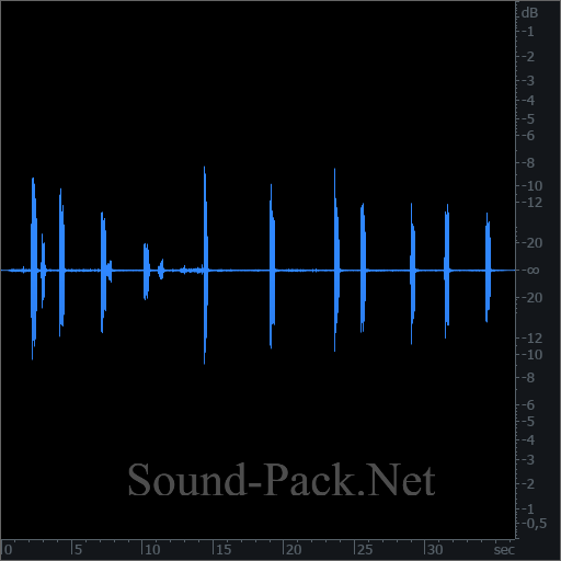 waveform