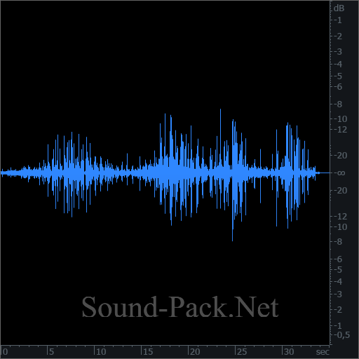 waveform