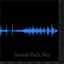 Собаки лают в вольерах, питомник