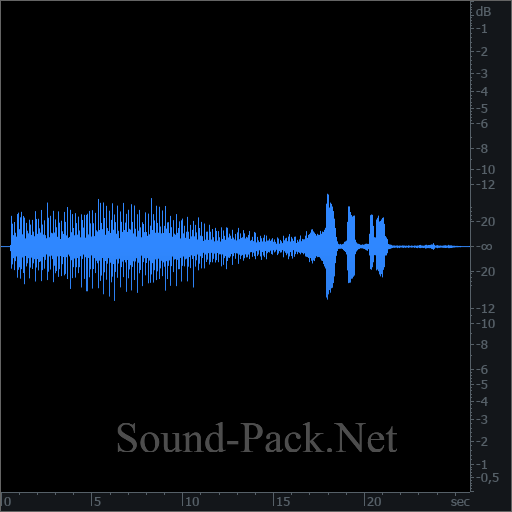 waveform