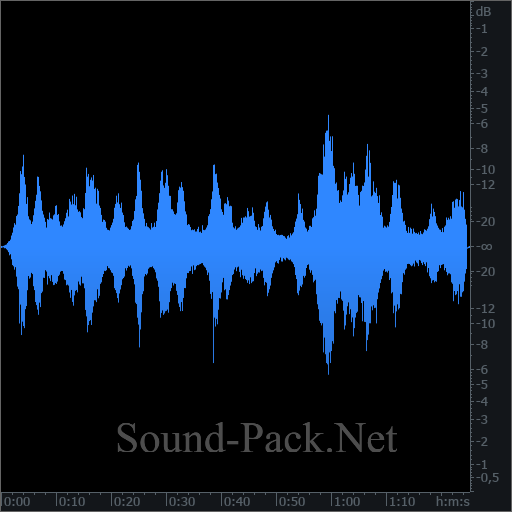 waveform