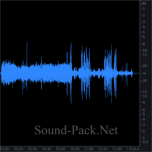 waveform