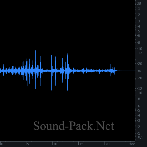 waveform