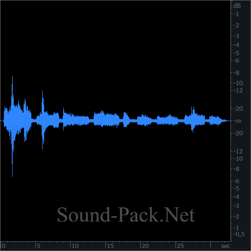 waveform