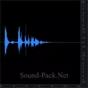 Свинья бегает и хрюкает