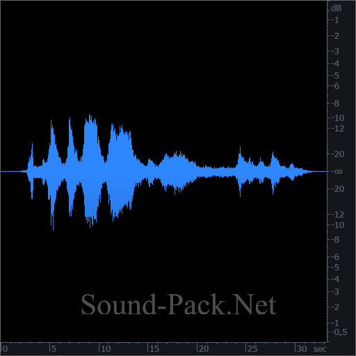 waveform