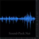 Кошка мурлычет, запись вблизи (2)