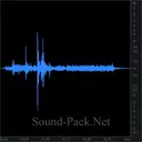 Фотокамера: спуск затвора (2)