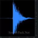 Хлопок одиночный